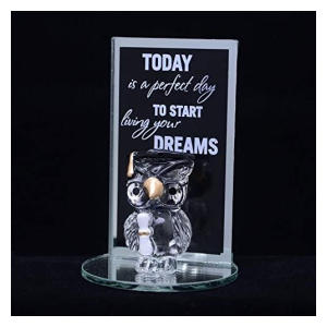 Owl Graduation Keepsake Plaque