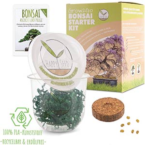 Bonsai Tree Kit