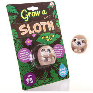 Grow a Sloth Toy