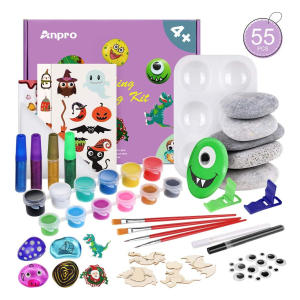 Anpro 55Pcs Rock Painting Set