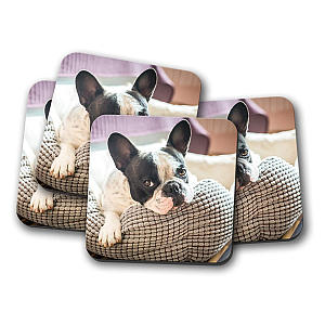 French Bulldog Coaster Set