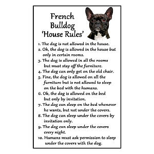 French Bulldog Rules Funny Fridge Magnet