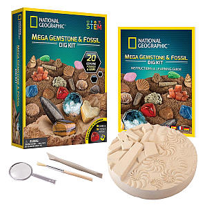 Fossil and Gemstone Excavation