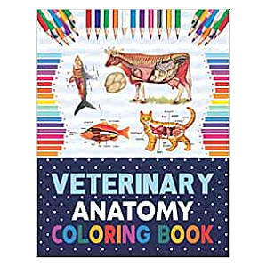 Kid's Veterinary Anatomy Colouring Book