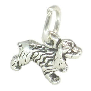 Small Sterling Silver Charm