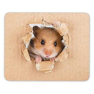 Hamster Mouse Mat